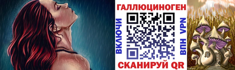 Псилоцибиновые грибы GOLDEN TEACHER  цена наркотик  Оханск 